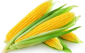 آیا ذرت قند دارد