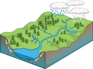 رود چگونه تشکیل میشود
